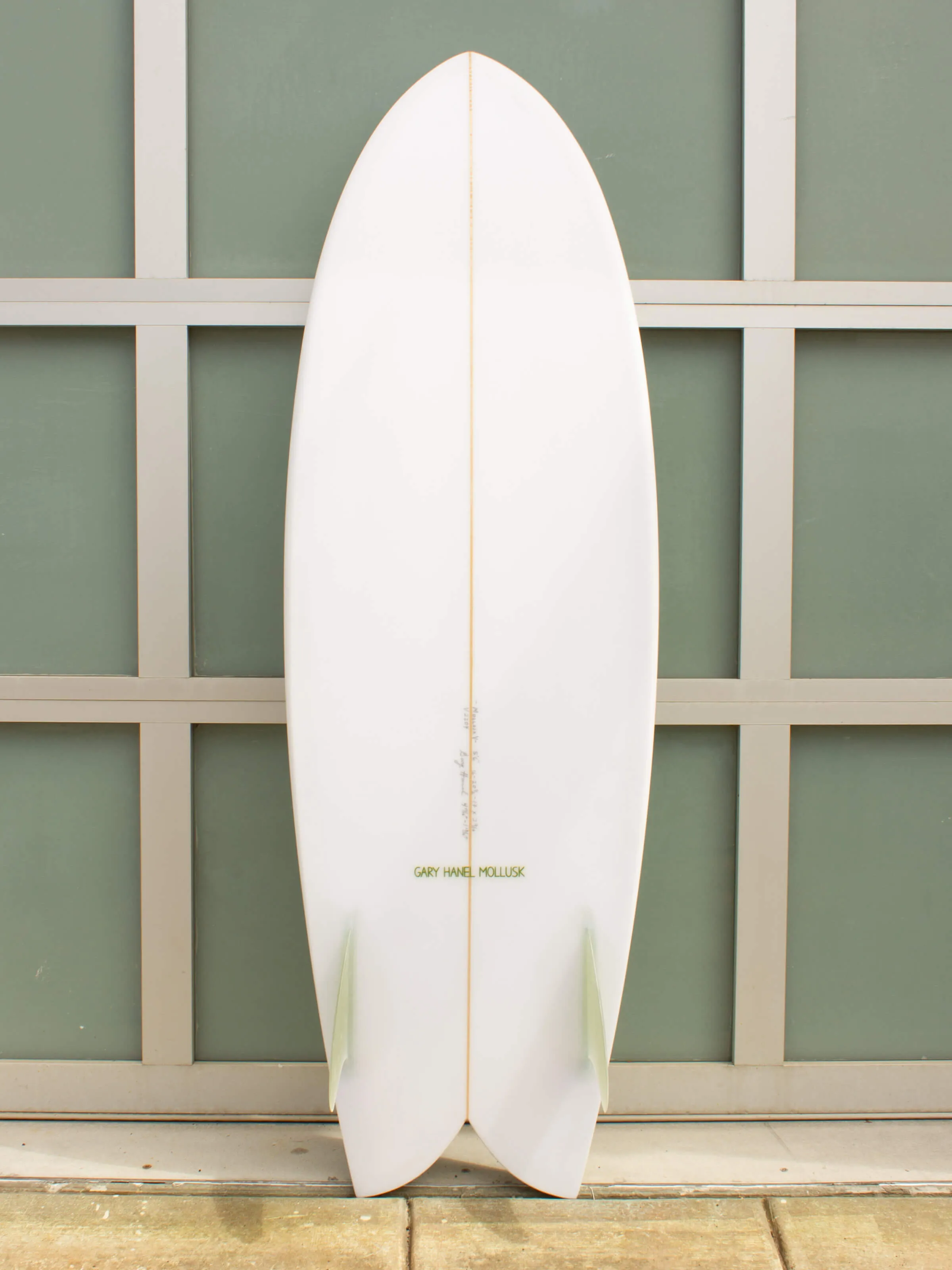 5'6 Hanel C Fish