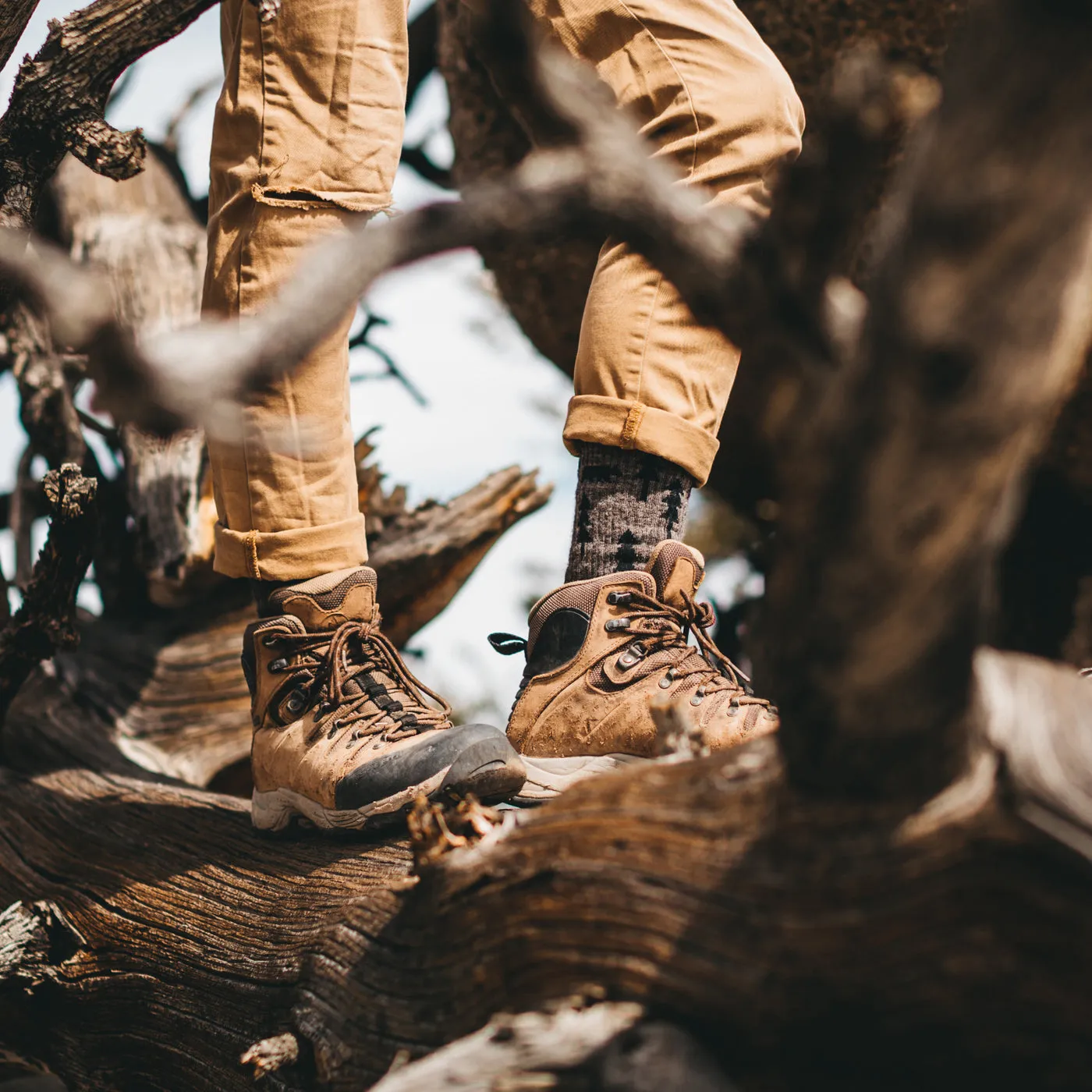 Darn Tough Men's Hiker ABC Boot Midweight with Cushion forest