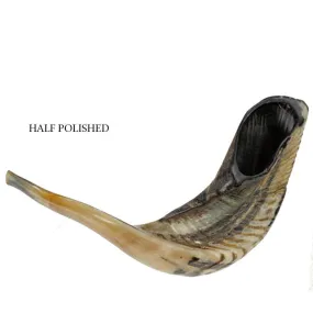 Half Polished Natural Kosher Jewish Shofar Ram Horn 17 - 19(40-44 cm) Israel
