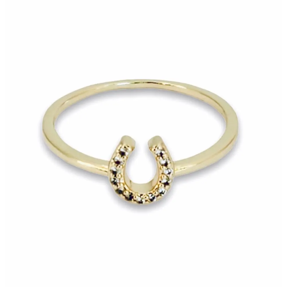 Horseshoe 14kts of gold plated