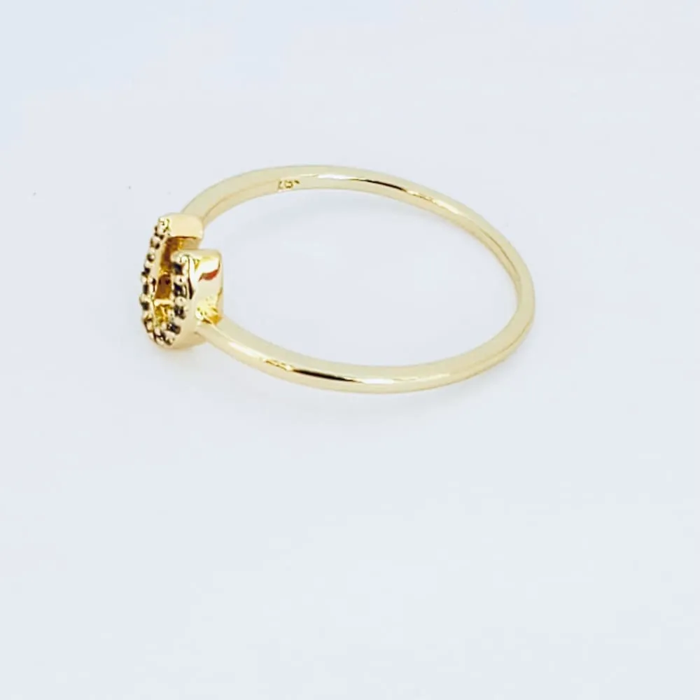 Horseshoe 14kts of gold plated