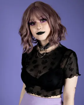 Morning Star Sheer Crop