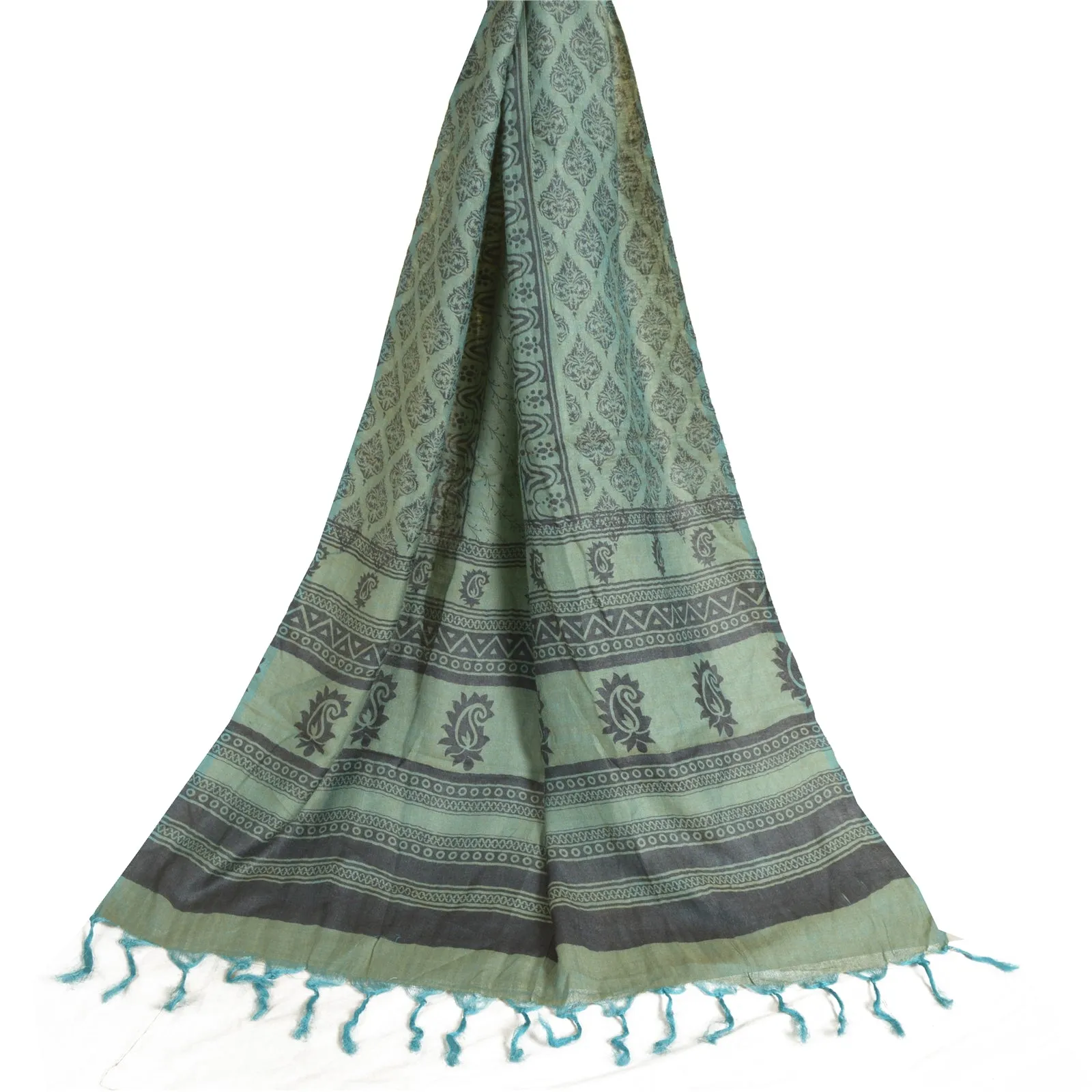 Sanskriti Vintage Long Dupatta Stole Pure Woolen Green Shawl Printed Scarves